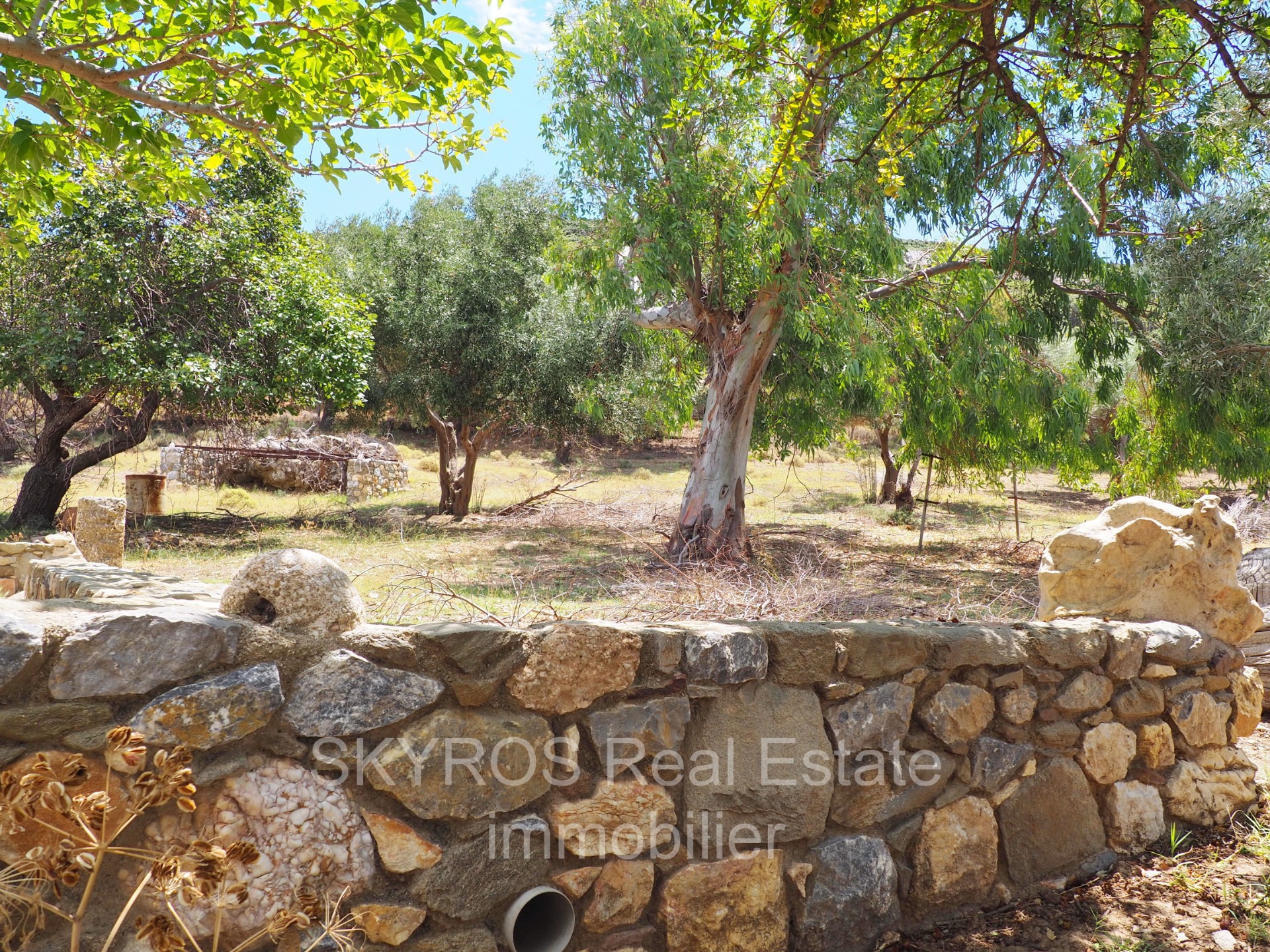 120m2 magical Turquoise SKYROS real estate immobilier